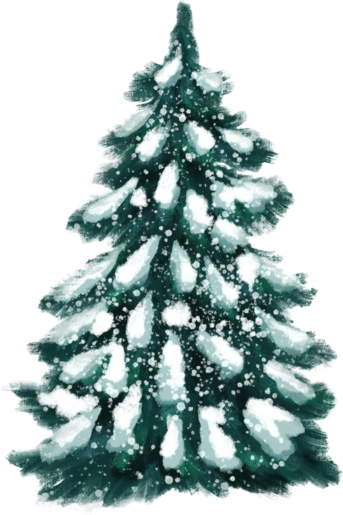 Fir tree with snow. Hand drawn illustration